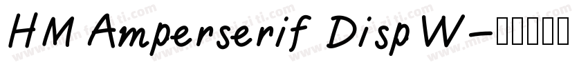 HM Amperserif Disp W字体转换